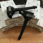 Mobin đánh lửa Nissan Teana, Nissan Livina