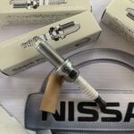 Buzi Nissan 22401ED815