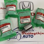 Piston phanh sau Odyssey 43215SHJA01